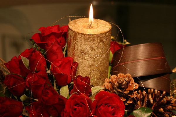 17 Rose - CHRISTMAS