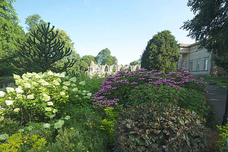 JULY 2014  -11 - FOUR SEASONS MUSEUM GARDENS