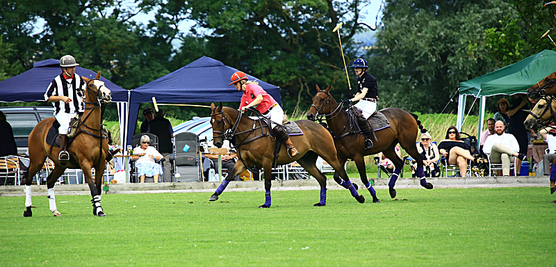 BV6R6797 - WHITE ROSE POLO CLUB LADIES DAY