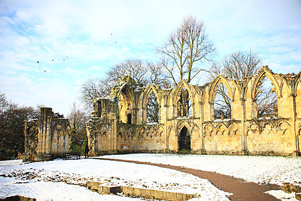 IMG_8001 2 - MUSEUM GARDENS