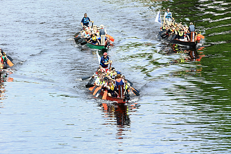 BV6R4194 - DRAGON BOAT RACE 2017