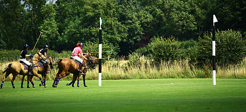 BV6R6777 - WHITE ROSE POLO CLUB LADIES DAY