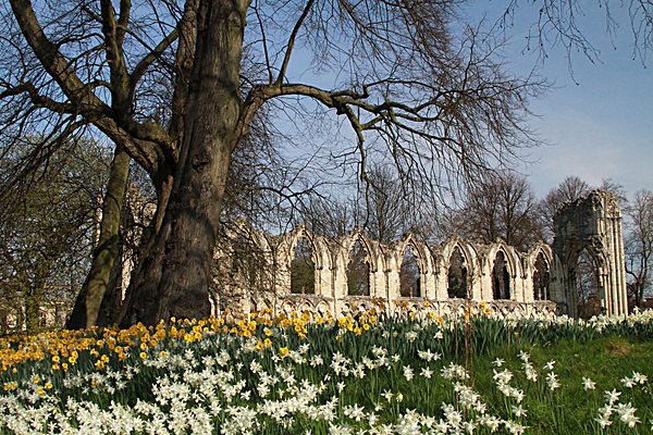 6196213 - MUSEUM GARDENS