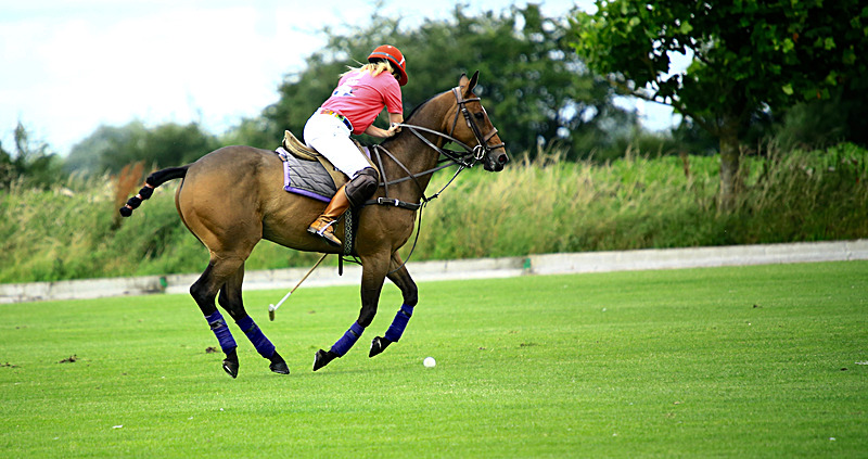 BV6R6793 - WHITE ROSE POLO CLUB LADIES DAY