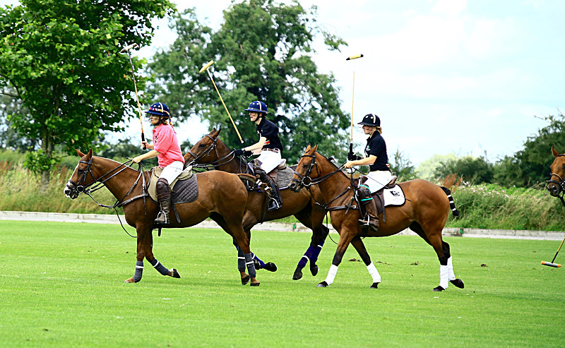BV6R6800 - WHITE ROSE POLO CLUB LADIES DAY