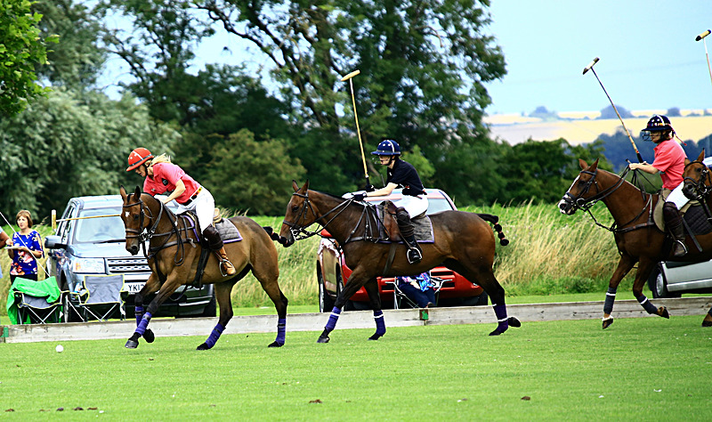 BV6R6796 1 - WHITE ROSE POLO CLUB LADIES DAY