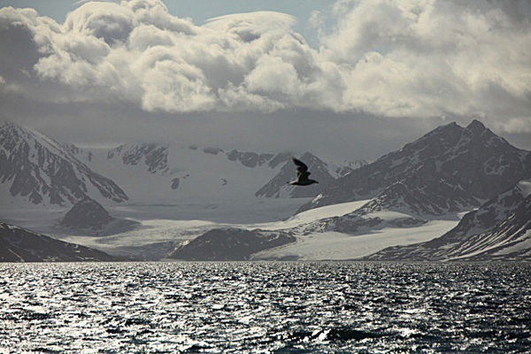 IMG_9546 - SVALBARD 2013