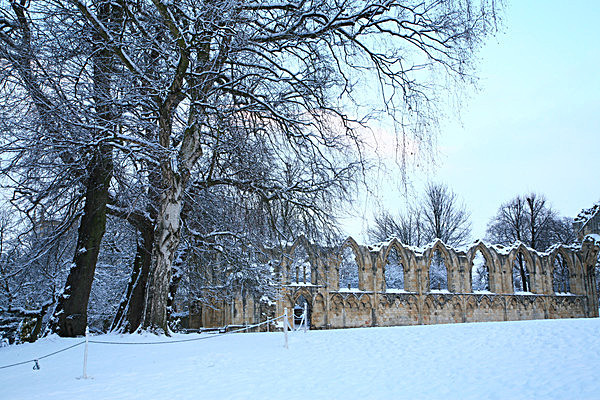 IMG_0401 - MUSEUM GARDENS
