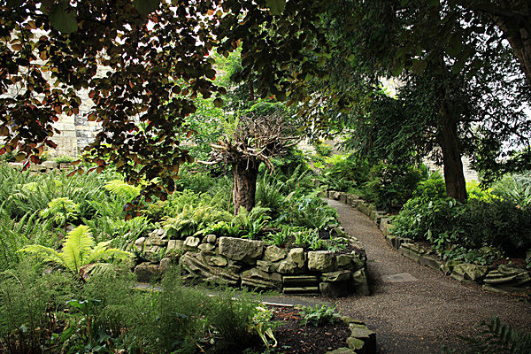 IMG_7672 - MUSEUM GARDENS