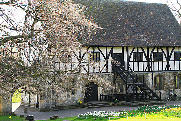 IMG_3295 - MUSEUM GARDENS