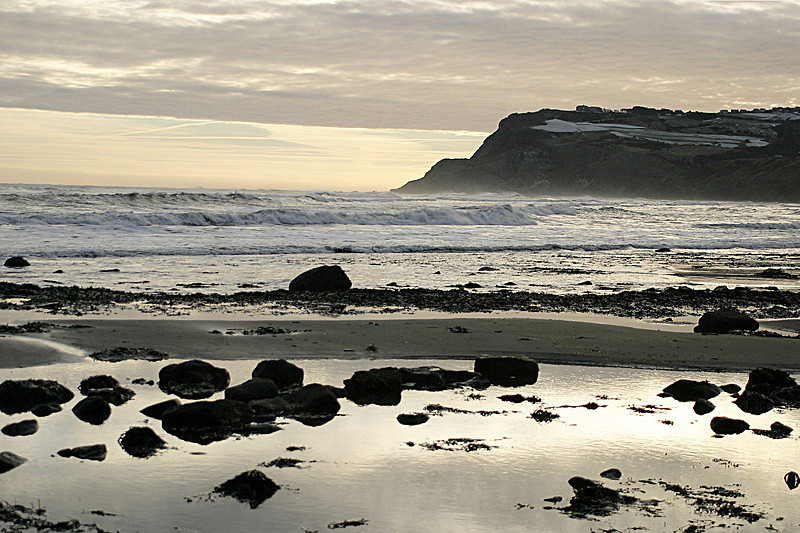  WILD SEA RHB - PORTFOLIO 2015