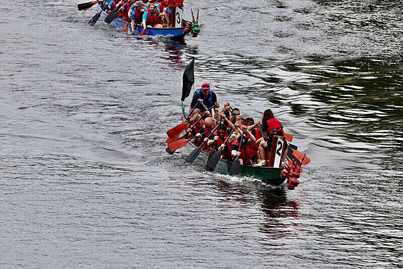 0I9A6989 - DRAGON BOAT RACE 2025