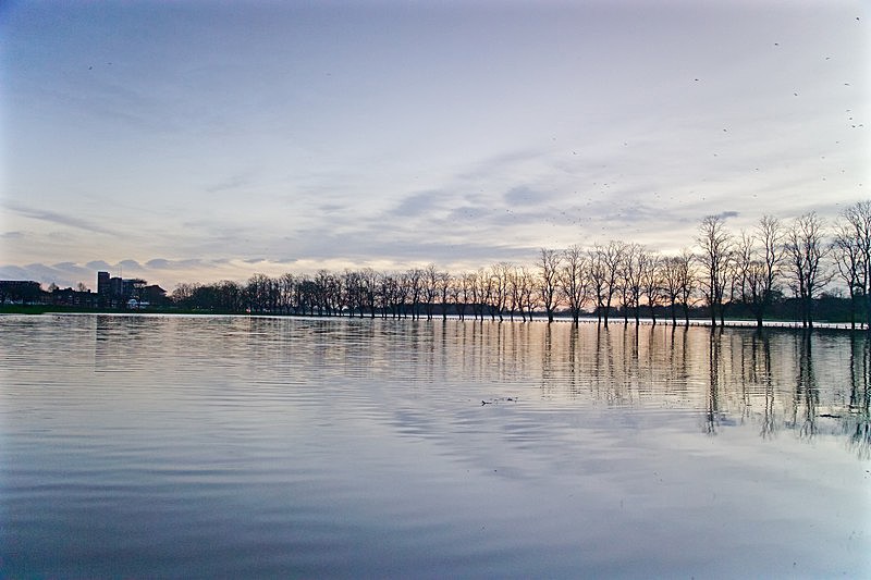 28 December 2015 CIVIC TRUST KNAVESMIRE IN FLOOD - 6 of 9 - KNAVESMIRE IN FLOOD   DECEMBER 2015