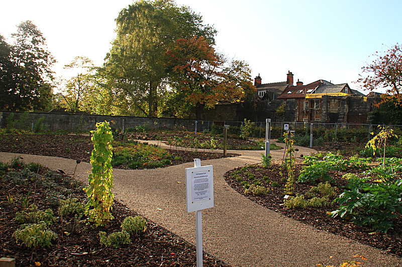 OCTOBER 2015-2 - FOUR SEASONS MUSEUM GARDENS