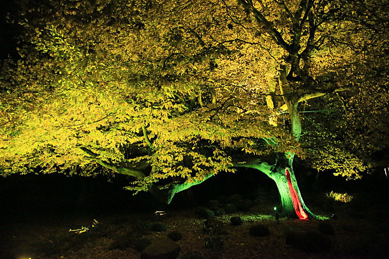 OCTOBER 2015-10 - FOUR SEASONS MUSEUM GARDENS