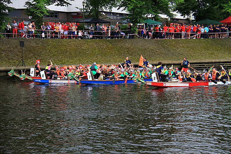 DRAGON BOAT RACE 10 July 2016 - 70 of 549 - DRAGON BOAT RACES 2016 York Rotary Club