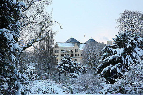 IMG_0425 - MUSEUM GARDENS