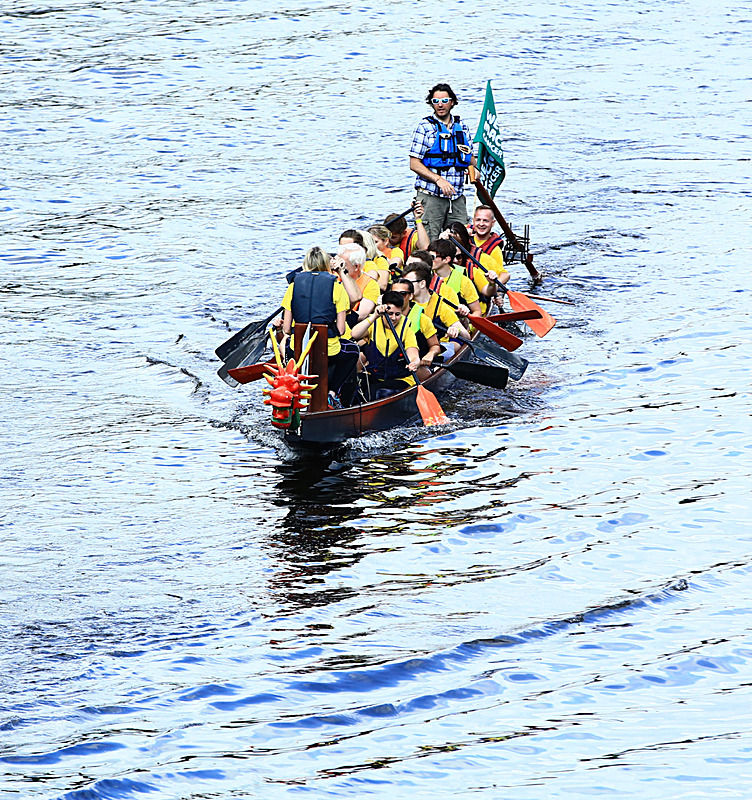 BV6R4239 - DRAGON BOAT RACE 2017