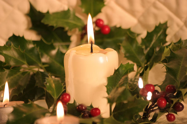 14 Holly - CHRISTMAS