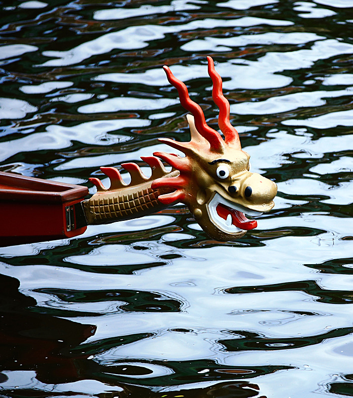 BV6R4300 - DRAGON BOAT RACE 2017