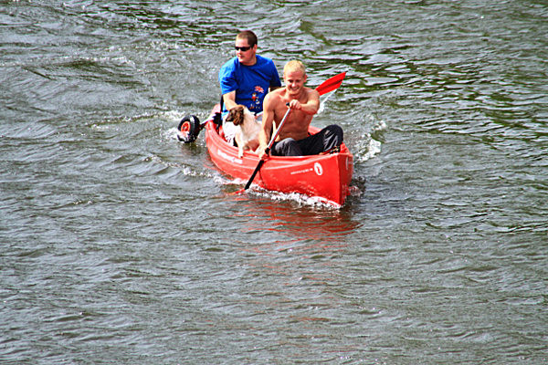 IMG_9169 - DRAGON BOAT RACE 2013 York Rotary Club