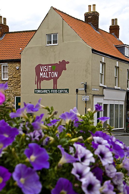 IMG_7467 - MALTON IN BLOOM 2017
