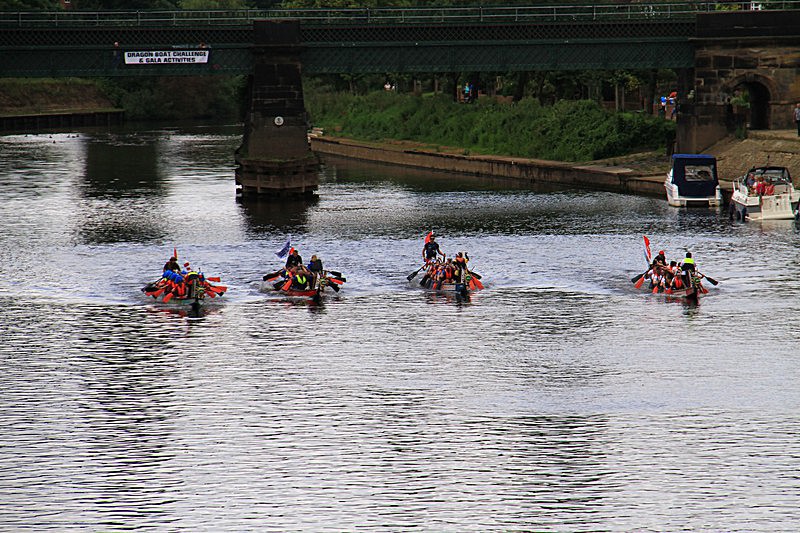DRAGON BOAT RACE 10 July 2016 - 16 of 549 - DRAGON BOAT RACES 2016 York Rotary Club