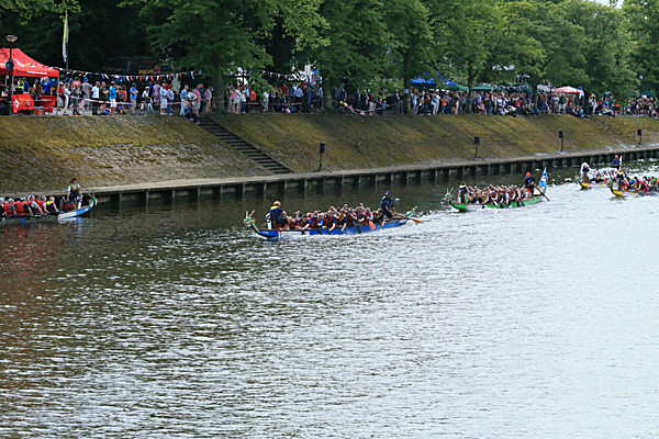 IMGL6916 - DRAGON BOAT RACE 2014 York Rotary Club