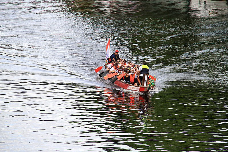 DRAGON BOAT RACE 10 July 2016 - 17 of 549 - DRAGON BOAT RACES 2016 York Rotary Club