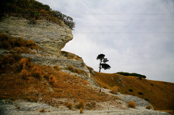KAIKURA BEACH - NEW ZEALAND