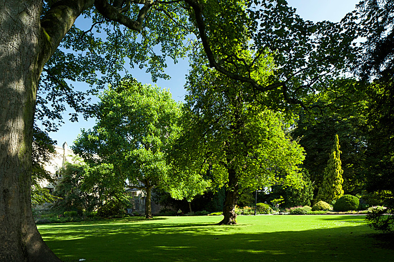 JULY 2014  -19 - FOUR SEASONS MUSEUM GARDENS