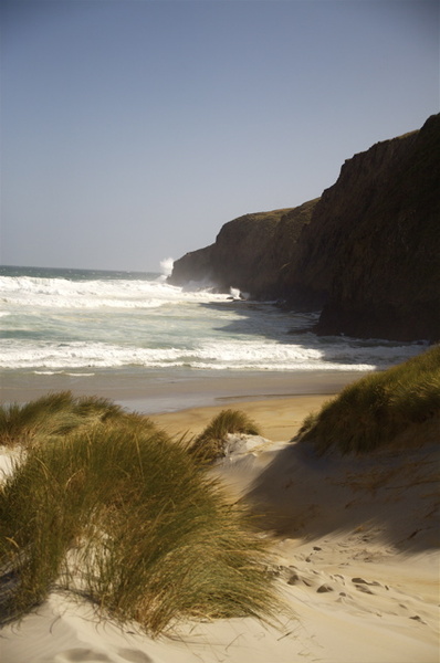 SAND FLY BEACH, DUNEDIN - NEW ZEALAND