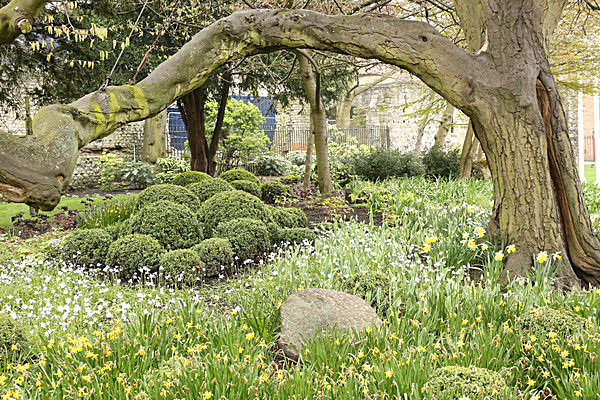 IMGL2096 - MUSEUM GARDENS