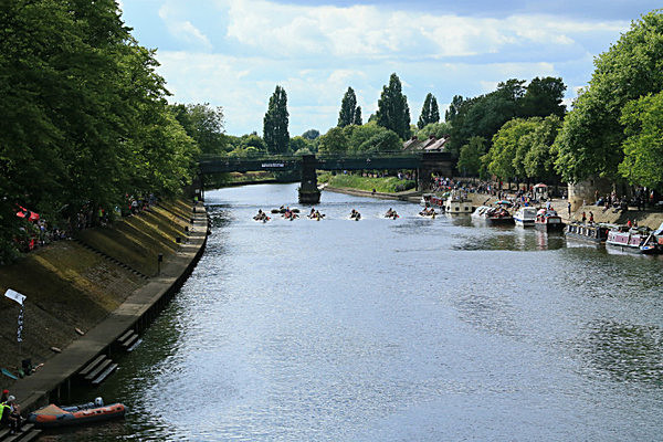 IMGL6987 - DRAGON BOAT RACE 2014 York Rotary Club