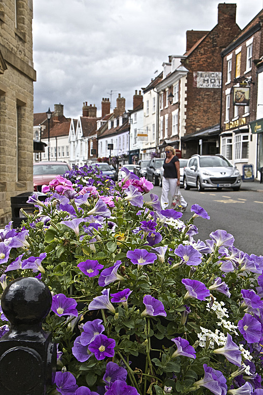 IMG_7412 - MALTON IN BLOOM 2017