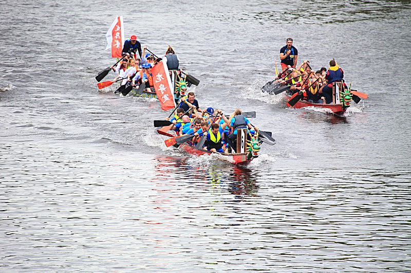 DRAGON BOAT RACE 10 July 2016 - 285 of 549 - DRAGON BOAT RACES 2016 York Rotary Club