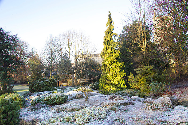 DECEMBER  2014  -7 - FOUR SEASONS MUSEUM GARDENS