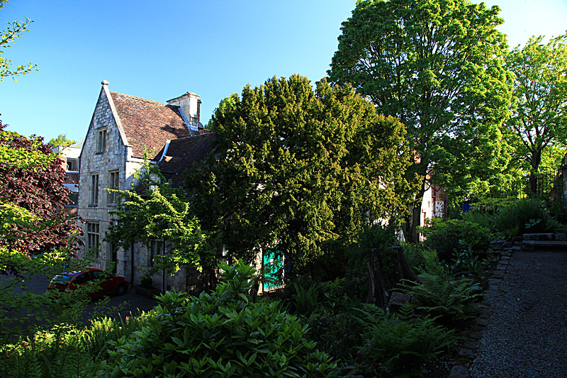 JUNE 2015 - FOUR SEASONS MUSEUM GARDENS