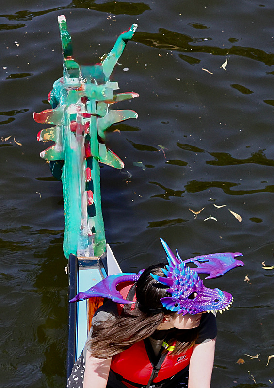 THE YORK ROTARY DRAGON BOAT CHALLENGE 2026 - 253 of 426 - DRAGON BOAT RACE 2026. York Rotary Club.