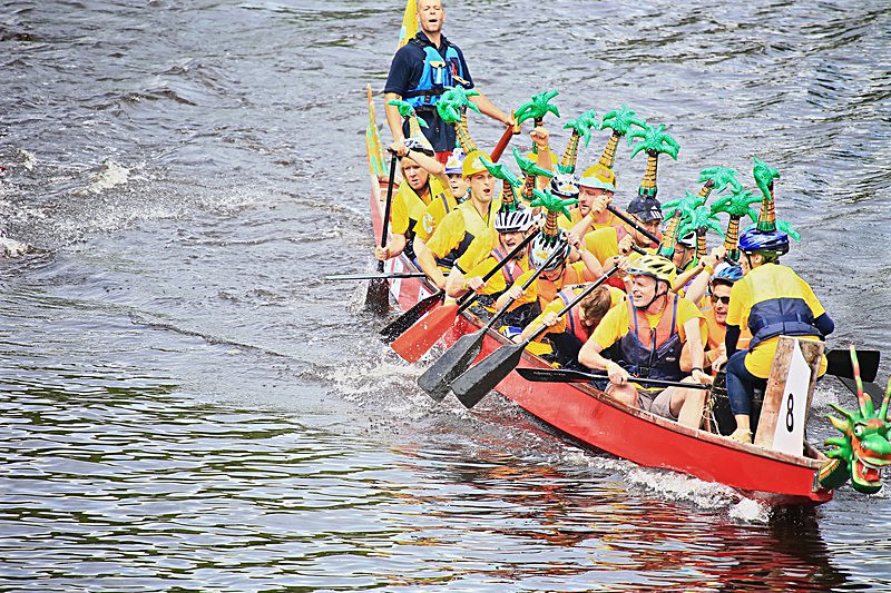 DRAGON BOAT RACE 10 July 2016 - 206 of 549 - DRAGON BOAT RACES 2016 York Rotary Club