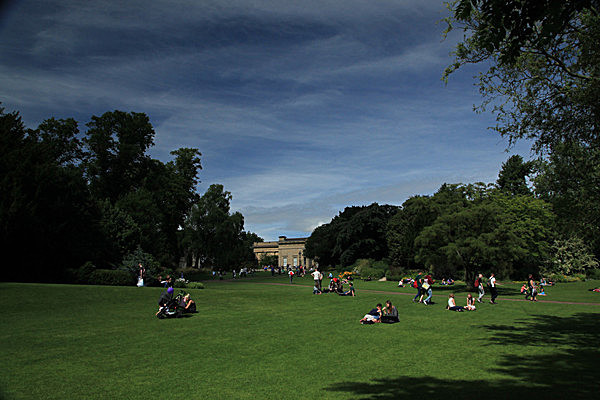 IMG_8151 - MUSEUM GARDENS