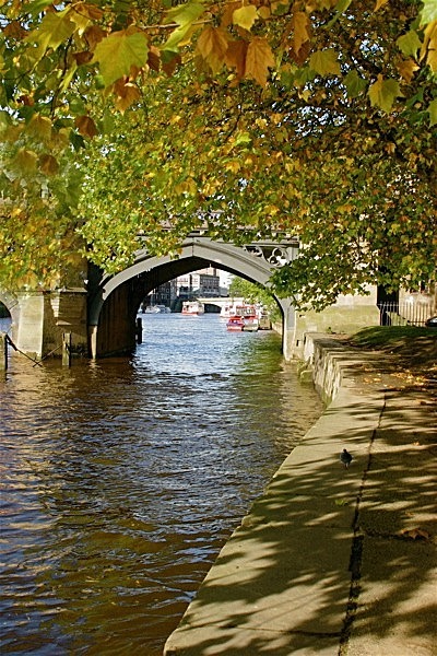 CS238 BOATS SKELDERGATE BRIDGE - YORK AGAINST CANCER ART EXHIBITION 23rd SEPT 2011