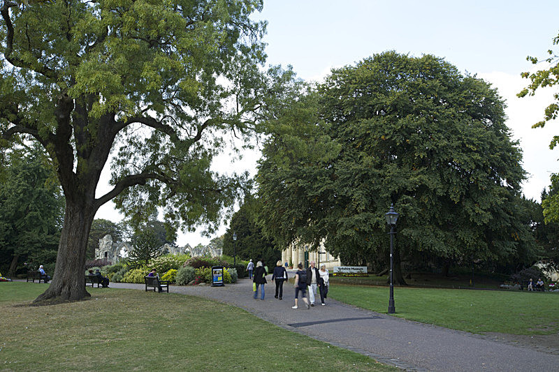 IMGL8898 - SHEET 1 NEW/OLD  MUSEUM GARDENS