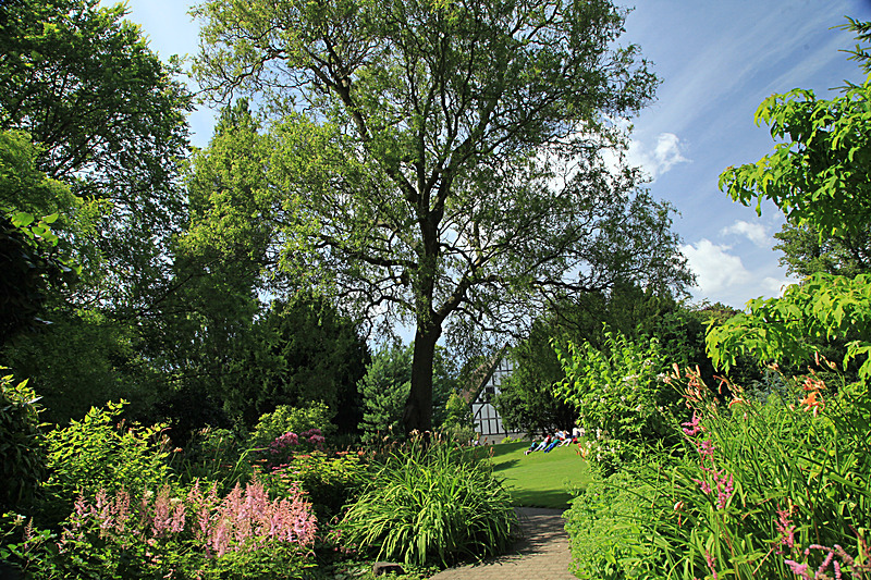 JULY 2014 -2 - FOUR SEASONS MUSEUM GARDENS