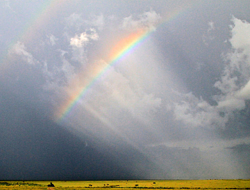  - MASAI MARA, KENYA  OCT 2014
