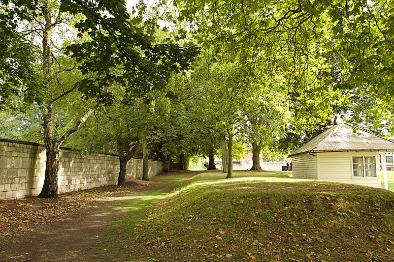 SEPTEMBER  2014   -2 - FOUR SEASONS MUSEUM GARDENS
