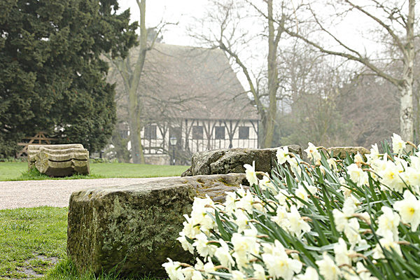IMGL2046 2 - MUSEUM GARDENS