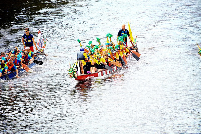 DRAGON BOAT RACE 10 July 2016 - 341 of 549 - DRAGON BOAT RACES 2016 York Rotary Club