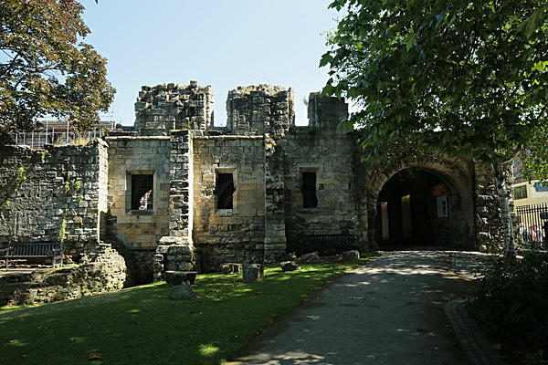 IMGL7818 - MUSEUM GARDENS