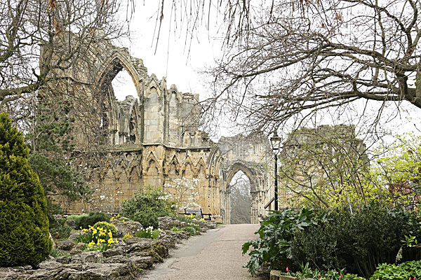 IMGL2083 - MUSEUM GARDENS